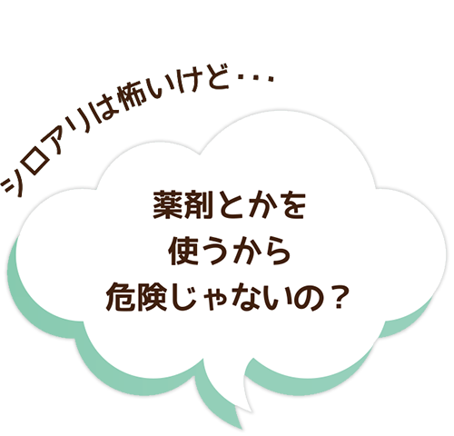 シロアリは怖いけど・・・