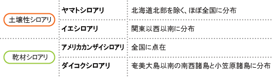 わが国で家屋に被害をもたらすシロアリ４種